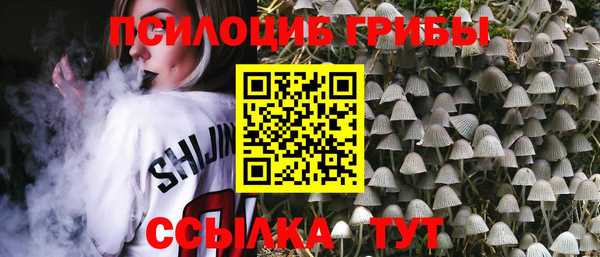 Галлюциногенные грибы Cubensis Моздок