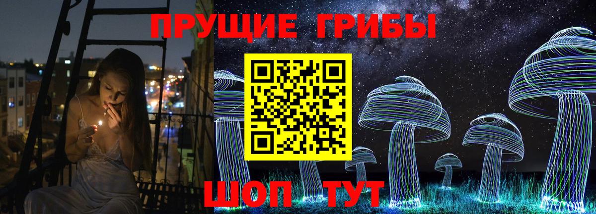 Псилоцибиновые грибы Cubensis  Вход с VPN  Моздок  закладка  Псилоцибиновые грибы Psilocybe 