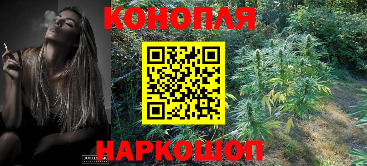 Моздок  Бошки Шишки семена  Шишки марихуана ГИДРОПОН  Марихуана Ganja  Вход с VPN 